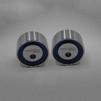 Tensioner Bearings