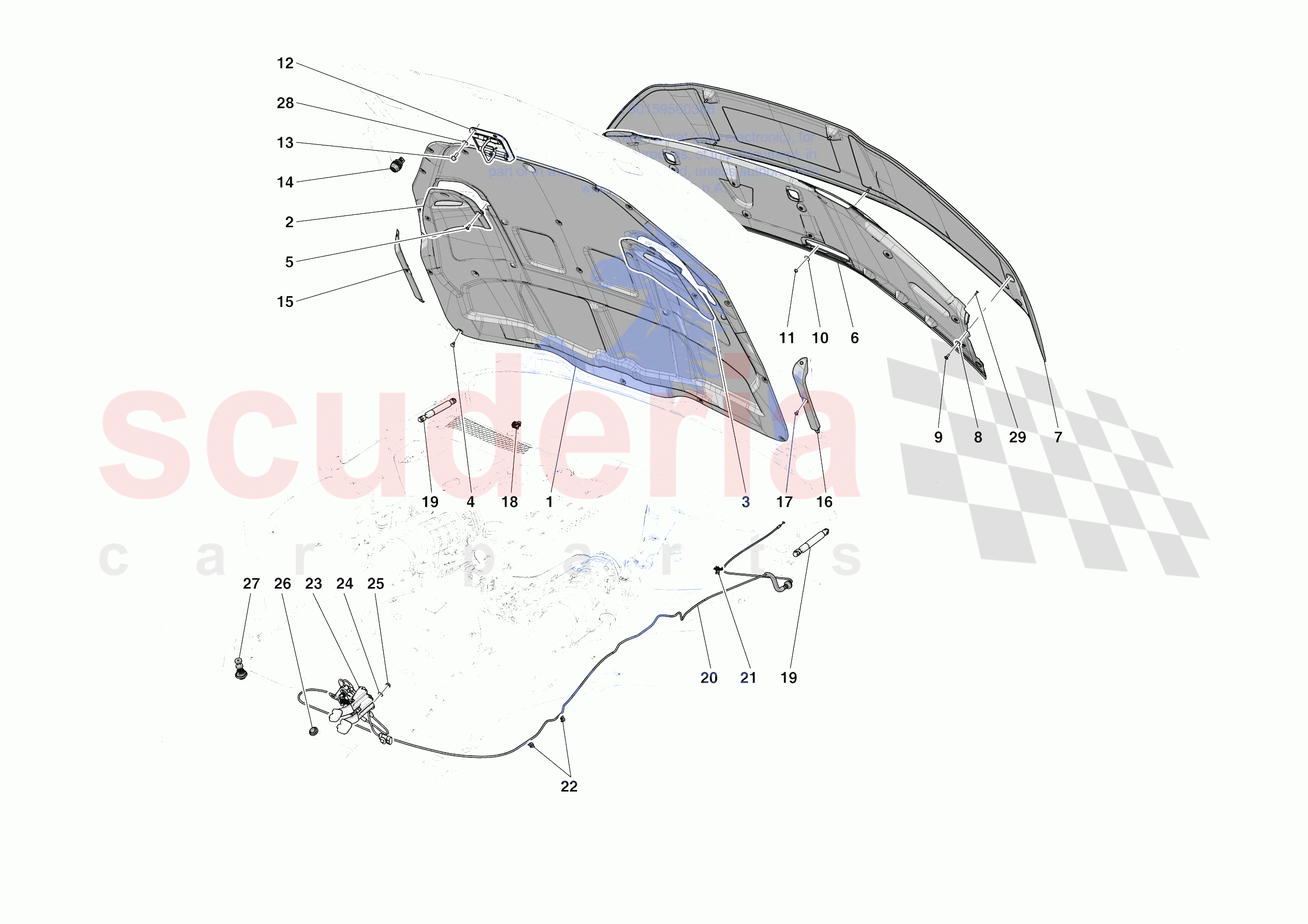 FRONT LID TRIM of Ferrari Ferrari 812 Competizione Europe