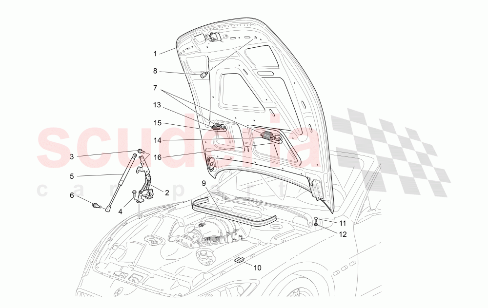 FRONT LID (Not available with: Centennial Edition) of Maserati Maserati GranCabrio (2013-2015) MC
