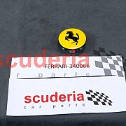 HUB CAP for 