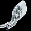 Photo of Cargraphic Sport Rear Silencer Set for the Porsche 997 (Mk II) Carrera - Image 3