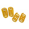 Photo of Novitec Sport Spring Set for the Lamborghini Temerario - Image 1