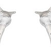 Photo of Tubi Style Test Pipes and Catalytic Converters Exhaust for the Ferrari 488 GTB/Spider - Image 2