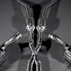Photo of Capristo Sports Exhaust for the Ferrari California - Image 5