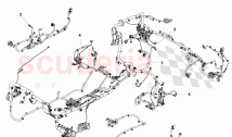 Body Harness (Volante)