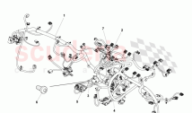IP Harness Assembly