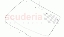 Windshield