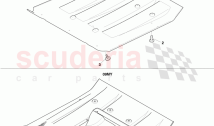 Rear Shields