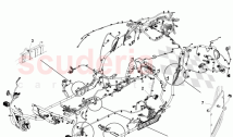 Body Harness