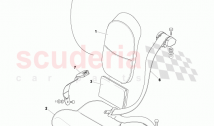 Rear Seats and Belts