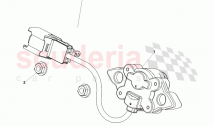 Exterior Tailgate Release Switch