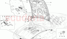 ENGINE COMPARTMENT LID