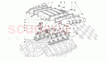 Manifold and throttle bodies