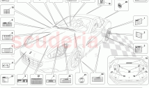 Plates and Labels
