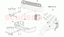 Body External Elements