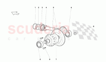 Rear Differential