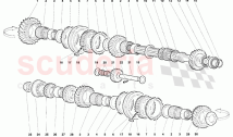 Driven Shaft Gears