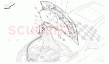FRONT LID (Not available with: TROFEO)