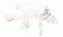 REAR SEAT BELTS