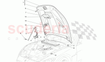 FRONT LID (Available with: SportNot available with: Special Edition)