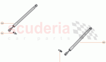 11 - CLOSURES ANCILLARIES - 11.8 - BONNET GAS STRUT