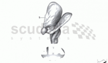 Spirit of Ecstasy