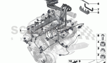 Engine wiring harness