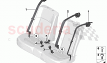 Restraint system and Accessories