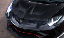 Carbon Race Hood