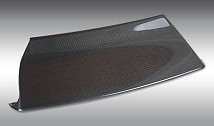 Front Strut in Carbon