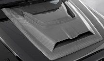 Carbon Powerdome