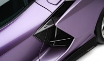 Carbon Fibre Side Panel Insert
