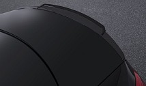 Rear Spoiler Lip