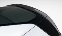Carbon Fibre Rear Spoiler