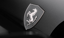 Carbon Fibre Fender Shields