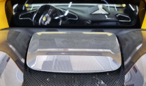 Carbon Fibre Rear Engine Lid Centre Insert (GTB only)