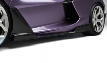 Carbon Fibre Side Skirts/Panels