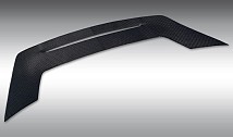 Rear Spoiler