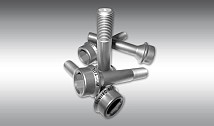 Titan Wheel Bolt Set (10 Pieces)