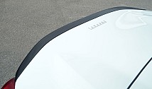 Rear Spoiler Lip in Carbon