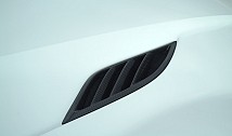 Carbon Insert for Air Outlet Engine Bonnet