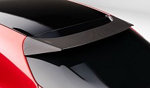 Esteso Carbon Race Roof Spoiler