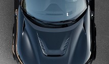 Carbon Engine Bonnet Insert
