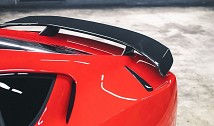 N-Largo Carbon Rearwing