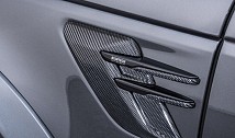 STARTECH Carbon side air intake covers