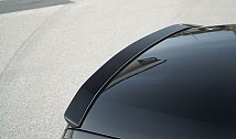 Rear Spoiler Lip in Carbon