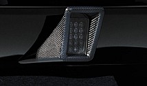 Reverse / fog light in carbon housing