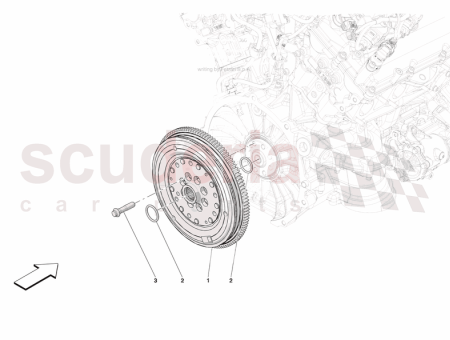 Photo of SCREW…