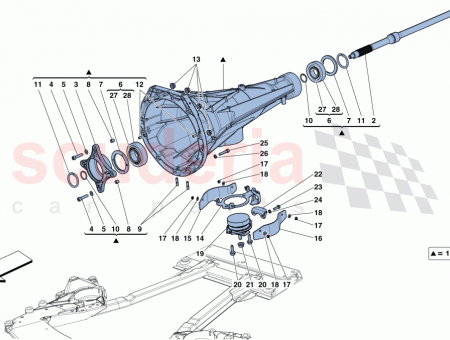 Photo of SCREW…