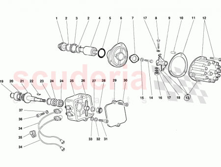 Photo of SCREW…